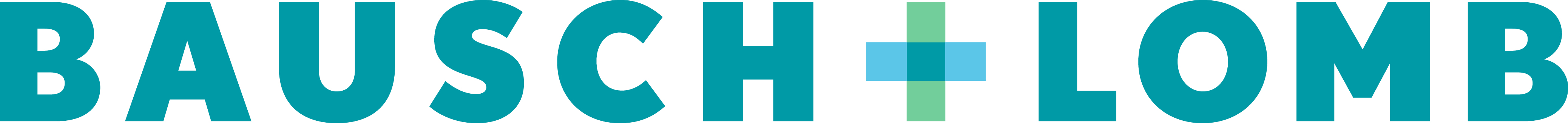 bausch-lomb Logo
